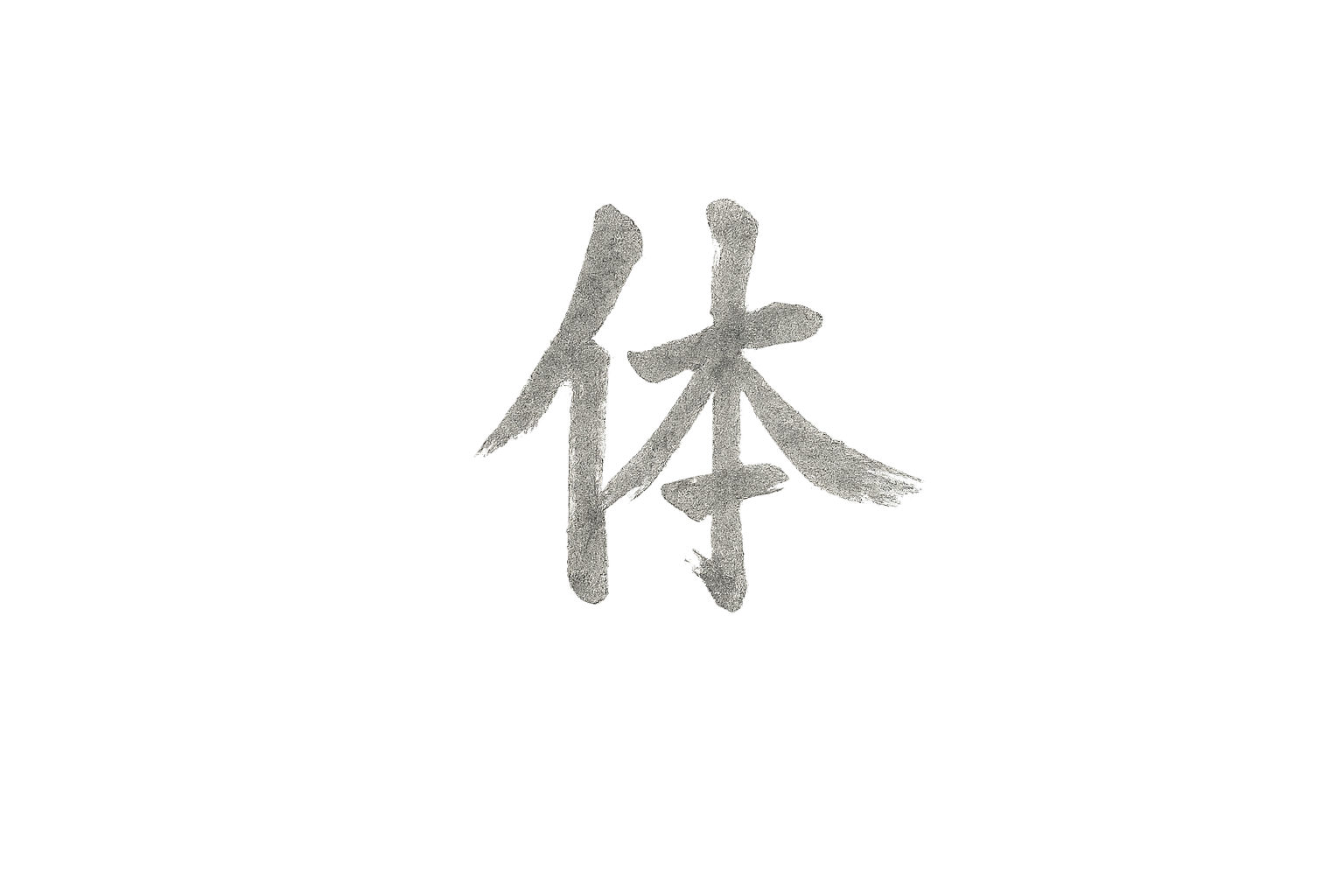 体